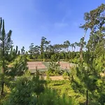 - Hotel, Termas & Otel Monte Real