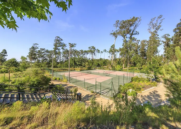 - Hotel, Termas & Hotel